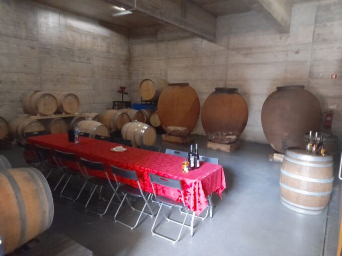 From Albufeira: Private Lagos Tour Whith Wine Tasting - Language Options