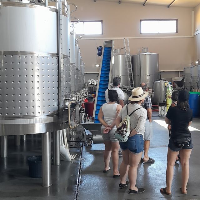 From Albufeira: Private Silves Castle Tour Whith Wine Taste - Key Points