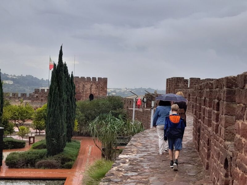 From Albufeira: Private Silves Castle Tour Whith Wine Taste - Languages Offered