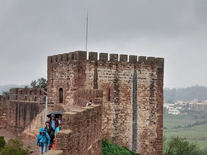 From Albufeira: Private Silves Castle Tour Whith Wine Taste - Experience Guided Wine Tasting