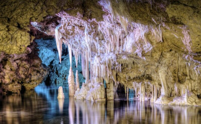 From Alcúdia: Dinosaurland and Hams Caves Half-Day Trip - Transportation and Accessibility