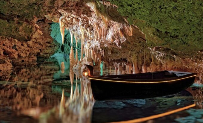 From Alcúdia: Dinosaurland and Hams Caves Half-Day Trip - Customer Feedback and Ratings