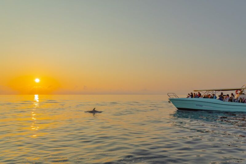 From Alcudia: Sunrise Dolphin Watching Boat Tour - Departure Locations