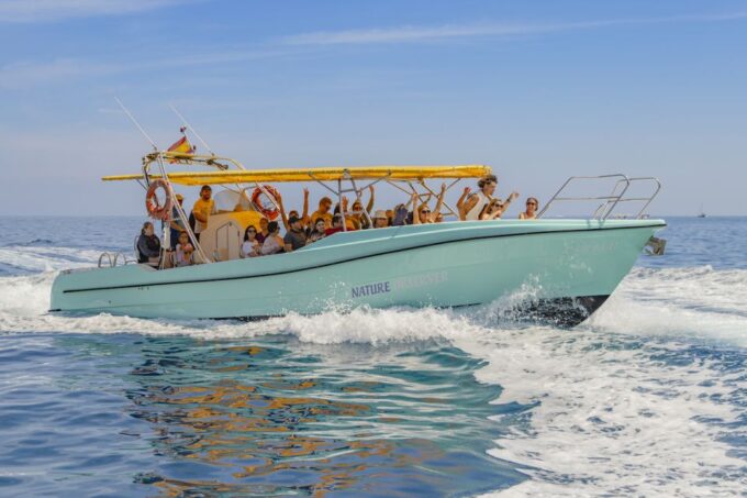 From Alcudia: Sunrise Dolphin Watching Boat Tour - Booking and Cancellation