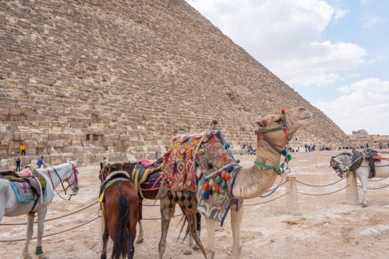 From Alexandria: Cairo, Pyramids & Egyptian Museum Day Tour - Language Options