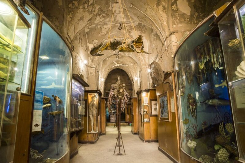 From Alexandria: Full-Day Guided Tour of Historical Sights - Inclusions and Additional Information