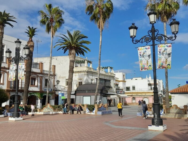 From Algarve: Private Ayamonte Van Tour - Language and Support