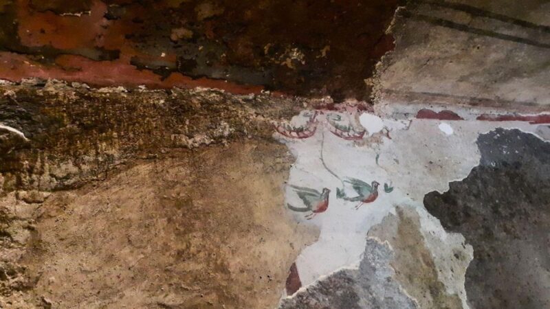 From Alghero: Archaeological Highlights Tour With Lunch - Itinerary