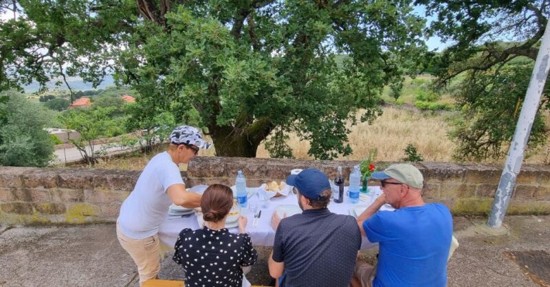 From Alghero: Farm to Table Cooking Experience in Montresta - Suitability and Reviews