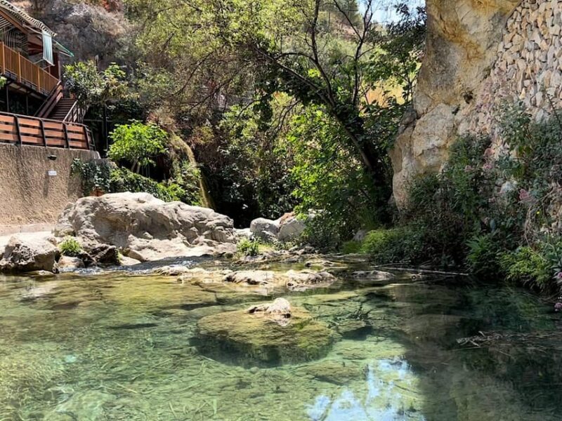 From Alicante: Algar Waterfalls Day Trip - Pickup and Transportation