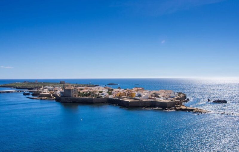 From Alicante: Excursion to Tabarca Island & Salinas - Key Points