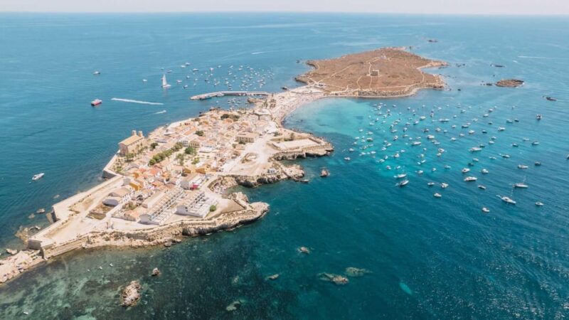 From Alicante: Excursion to Tabarca Island & Salinas - Itinerary and Transportation