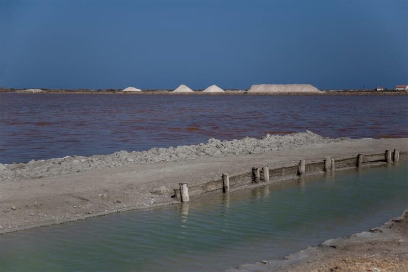 From Alicante: Excursion to Tabarca Island & Salinas - Meeting Point and What to Bring
