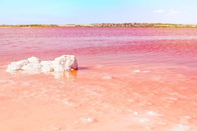 From Alicante: Excursion to Tabarca Island & Salinas - Customer Feedback - Value for Money