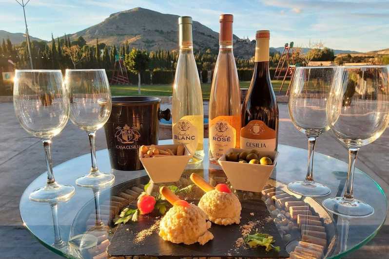 From Alicante: Guided Visit to an Old Winery. Tasting Included. - Key Points