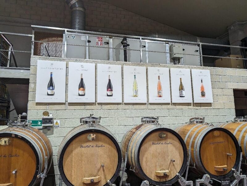 From Alicante: Guided Visit to an Old Winery. Tasting Included. - Cancellation and Payment Policy