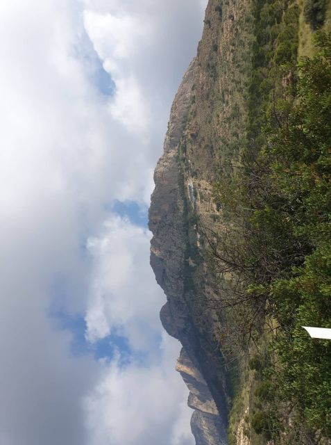 From Alicante: to the Caves in Europe, Canelobre. Gidovik - Frequently Asked Questions