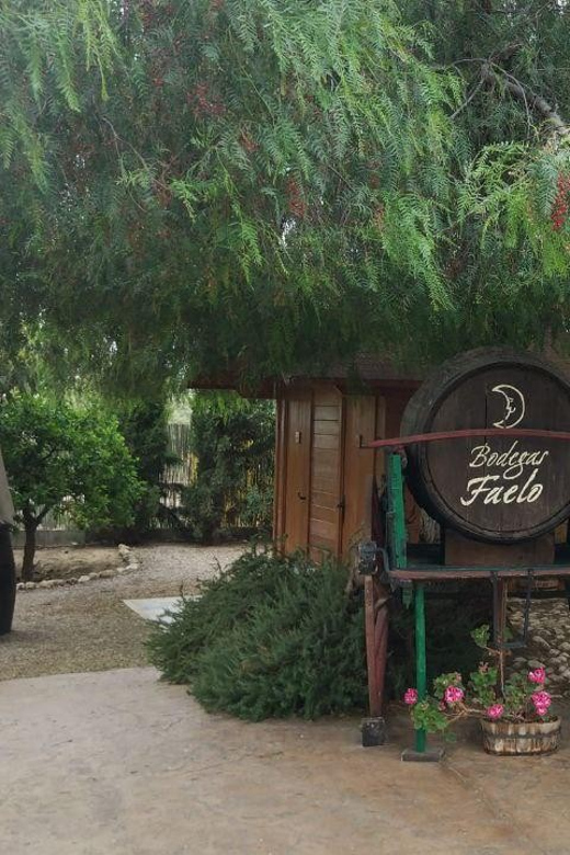 From Alicante: Winery Tour and Wine Tasting in Elche - Key Points