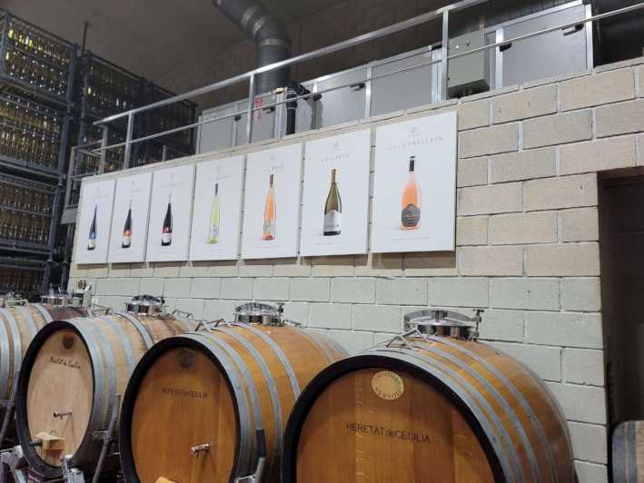 From Alicante: Winery Tour and Wine Tasting With Tapas - Key Points