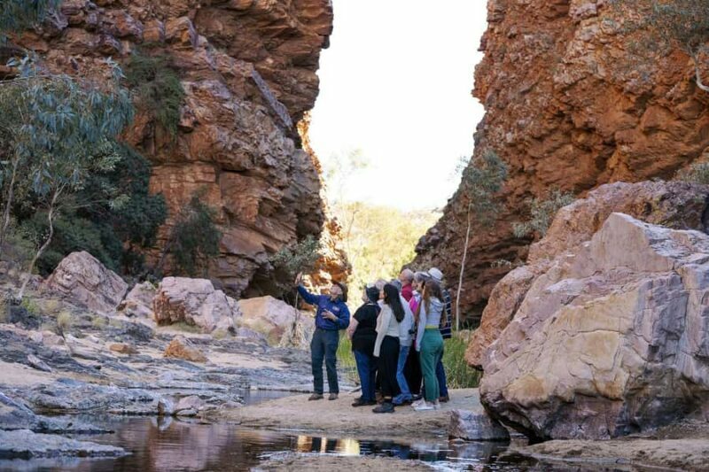 From Alice Springs: Half Day West MacDonnell Ranges Tour - How Does It Compare to Other Options?