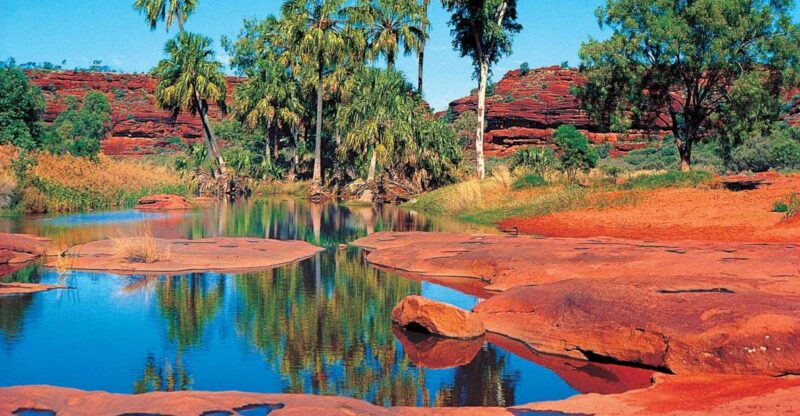 From Alice Springs: Palm Valley 4WD Outback Safari + Picnic - Picnicking in Finke Gorge National Park