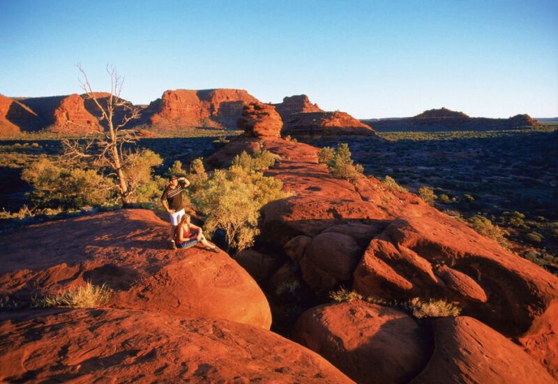 From Alice Springs: Palm Valley 4WD Outback Safari + Picnic - Discovering the Beauty of Palm Valley