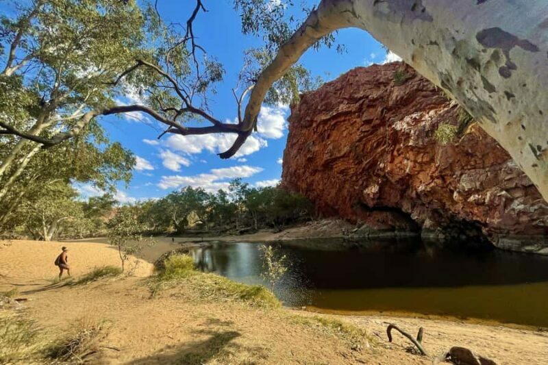 From Alice Springs/Yulara: 4-Day Red Centre 4WD Camping Tour - Final Thoughts: Who Should Consider This Tour?
