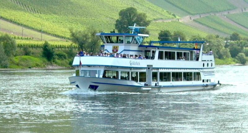From Alken: Moselle Valley Sightseeing Cruise - Key Points