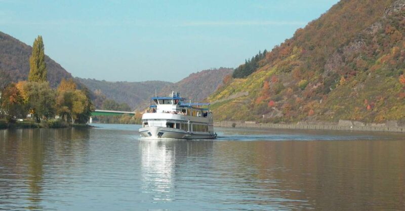 From Alken: Moselle Valley Sightseeing Cruise - Highlights of the Experience