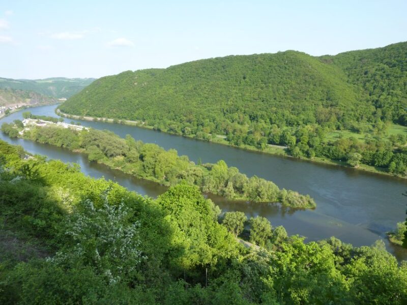 From Alken: Moselle Valley Sightseeing Cruise - Views Along the Route