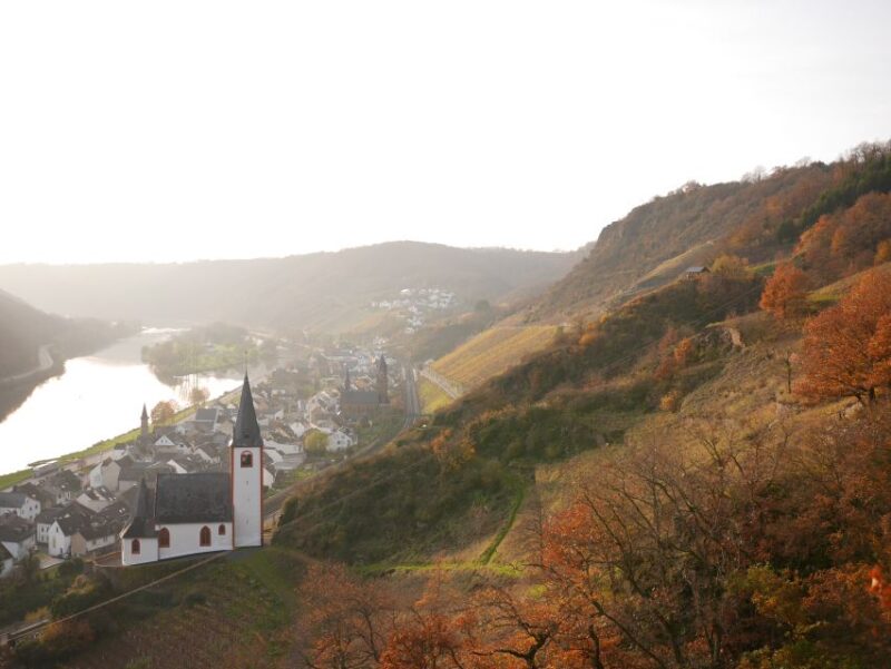 From Alken: Moselle Valley Sightseeing Cruise - Onboard Amenities and Services