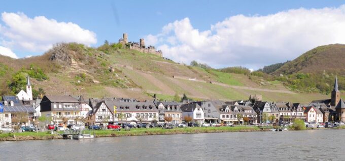 From Alken: Moselle Valley Sightseeing Cruise - Suitability and Accessibility