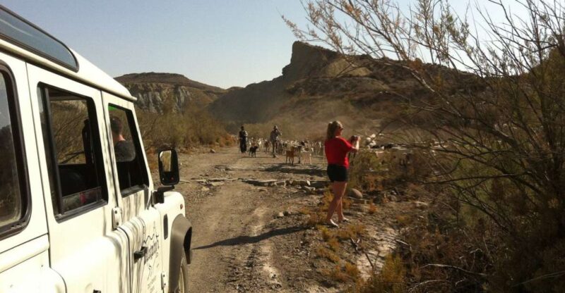 From Almeria: Tabernas Desert 4WD Tour - Landscape and Significance