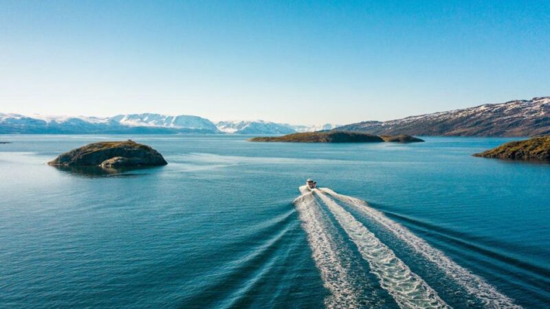 From Alta: Adventure Cruise in Alta Fjord - Cruise Features and Highlights