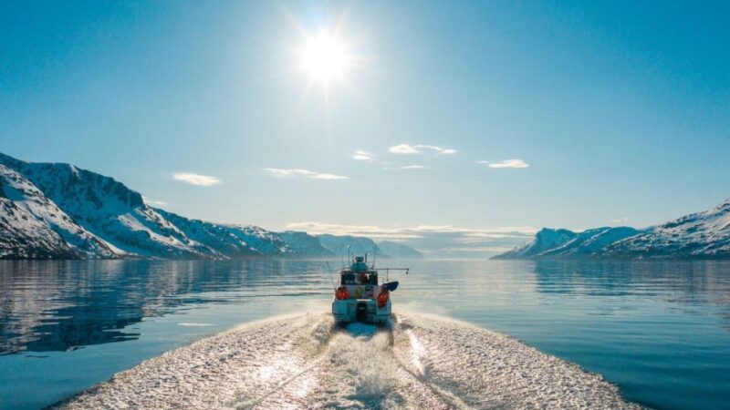 From Alta: Adventure Cruise in Alta Fjord - Included Amenities