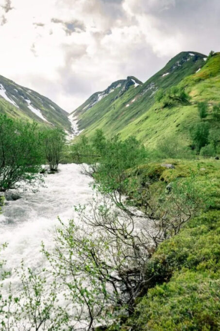 From Alta: Experience Seiland National Park - Customer Feedback Highlights