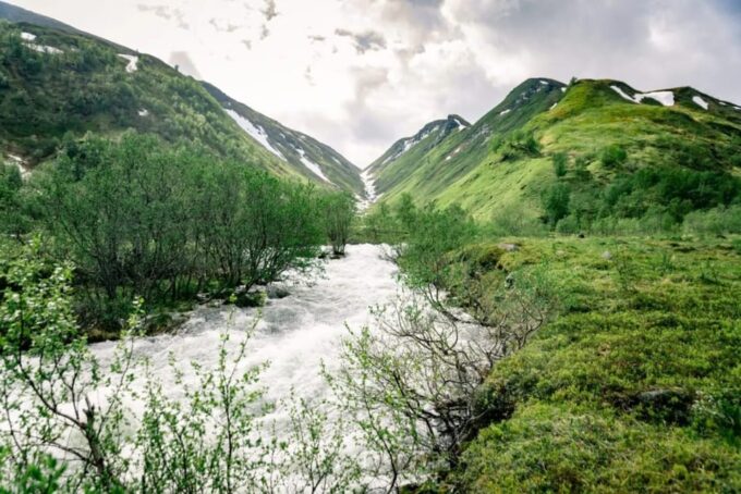 From Alta: Experience Seiland National Park - Pricing and Booking Information