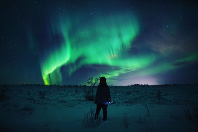 From Alta: Nighttime Northern Lights Spotting Tour - Key Points