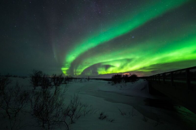 From Alta: Nighttime Northern Lights Spotting Tour - Inclusions