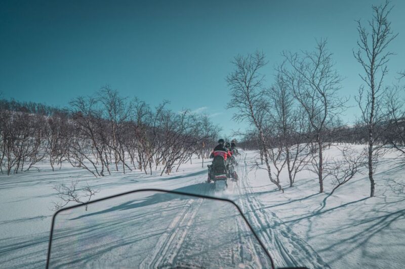 From Alta: Snowmobile Adventure - Customer Testimonials