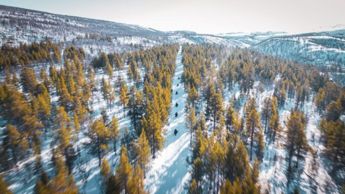 From Alta: Snowmobile Adventure - Driving Instructions and Experience