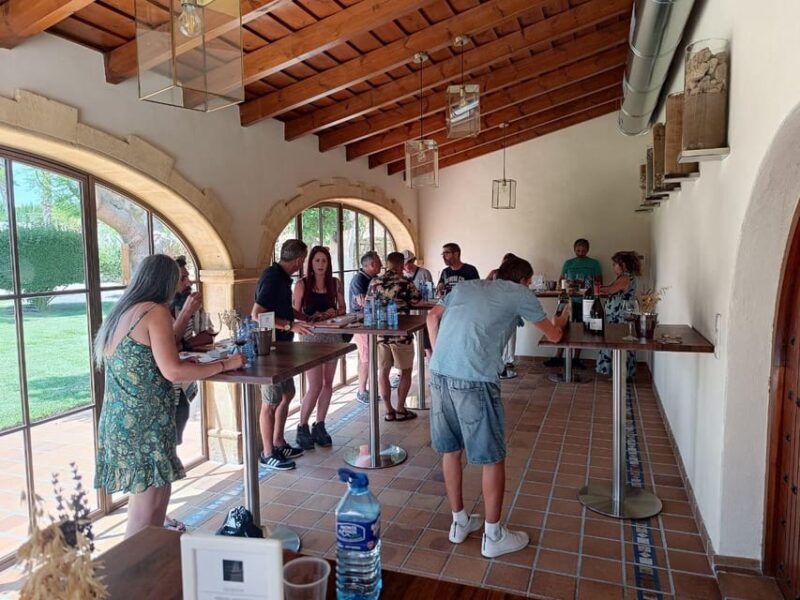 From Altea,Benidorm,Alicante: Winery Tour and Wine Tasting - Key Points