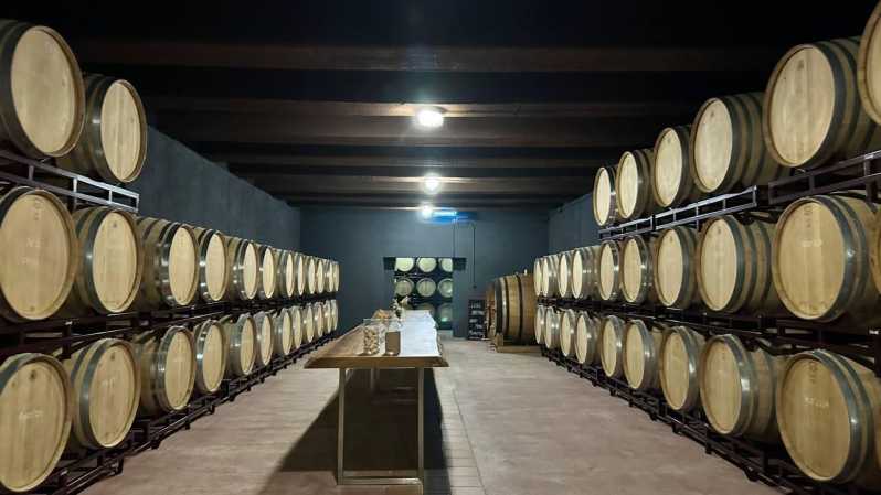 From Altea,Benidorm,Alicante: Winery Tour and Wine Tasting - Booking Information