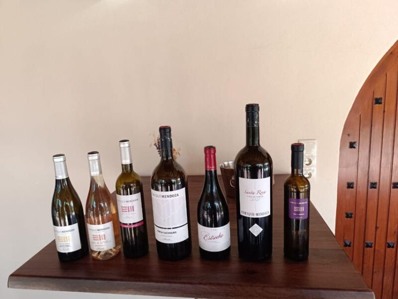 From Altea,Benidorm,Alicante: Winery Tour and Wine Tasting - Experience Highlights