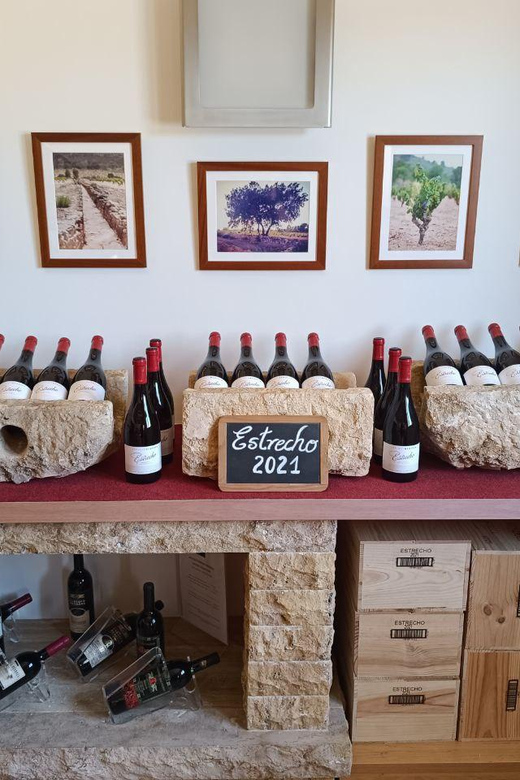 From Altea,Benidorm,Alicante: Winery Tour and Wine Tasting - Wine Tasting