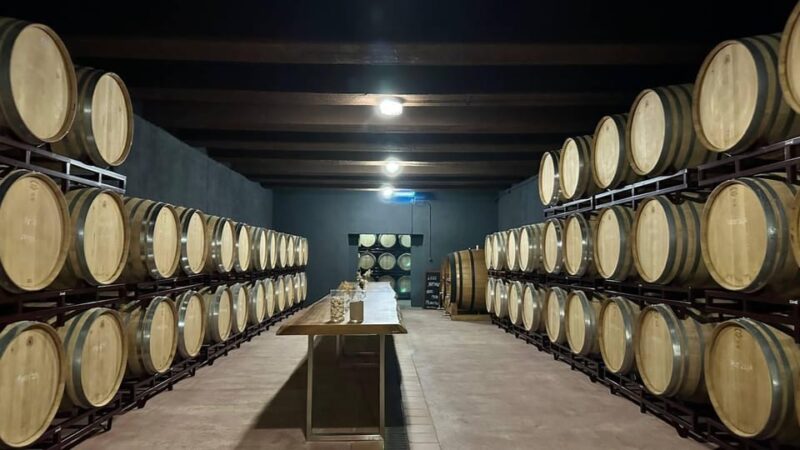 From Altea,Benidorm,Alicante: Winery Tour and Wine Tasting - Participant Restrictions