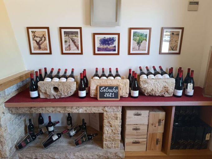 From Altea,Benidorm,Alicante: Winery Tour and Wine Tasting - About the Region