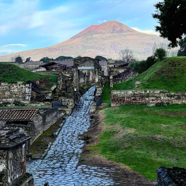 From Amalfi Coast: Pompeii and Vesuvius Tour Skip-the-Line - Key Points