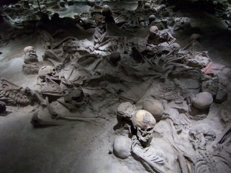 From Amalfi Coast: Pompeii Herculaneum Skip-The-Line - Key Points