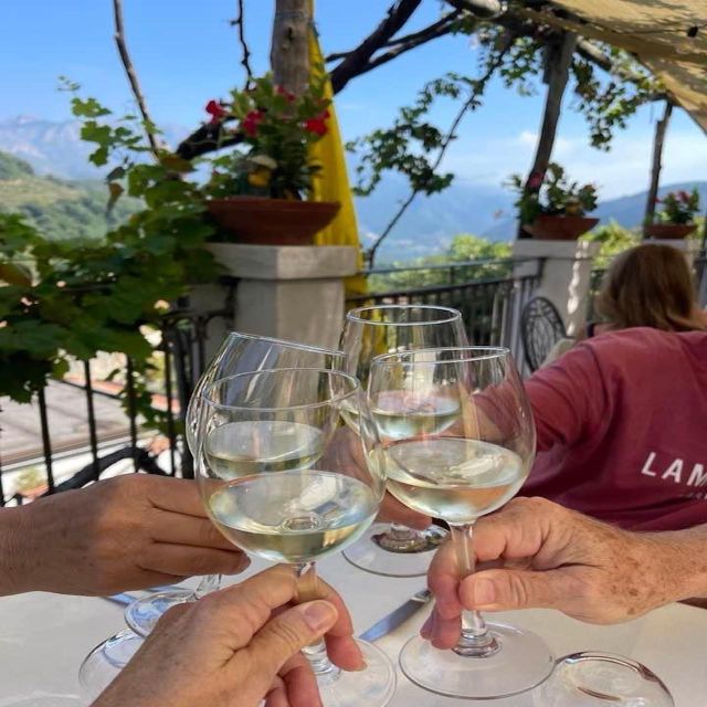 From Amalfi Coast: Private Luxury Tour Pompei ,Winery - Ravello Highlights